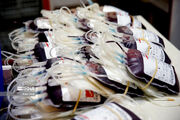 بانوان استان سمنان در اهدای خون ۶ درصد مشارکت دارند
