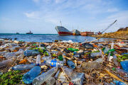 اینجا سواحل مازندران؛ دریایی از زباله +فیلم