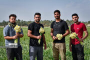مشکلات مزارع گردشگری گلستان برای مشارکت در تولید؛ سایه سنگین کاغذبازی