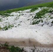 بارندگی و تگرگ ۳۲۰ میلیارد ریال به بخش کشاورزی و راه‌های عشایری گیلانغرب خسارت زد