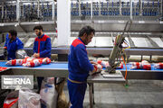 صادرات مرغ منجمد از قزوین یک ظرفیت مغفول مانده است