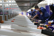 تولید ۳۴۳ هزار تن محصولات صنعتی و کشاورزی به ارزش ۲۰ همت در منطقه آزاد ارس