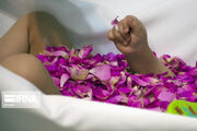 «گل‌غلتان» آیینی زیبا با عطر مدهوش‌کننده گل محمدی