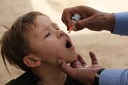 مرحله اول واکسیناسیون فلج اطفال اتباع خارجی در کردستان انجام شد