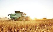۲۸ هزار و ۴۰۰ تن گندم از کشاورزان بوشهری خریداری شد