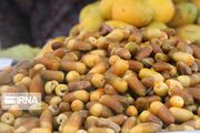 ۸۲ کشور خریدار خرمای ایرانی/ خرمای مضافتی در صدر صادرات خرما از ایران 