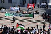 دانشجویان ایرلند نیز به جمع حامیان فلسطین پیوستند