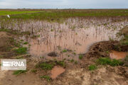 سیل یکهزار و ۴۰۰ میلیارد ریال به کشاورزی خراسان‌شمالی خسارت زد