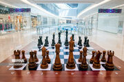 زمان برگزاری مجمع انتخابات فدراسیون شطرنج مشخص شد