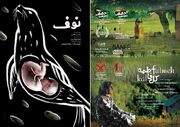 ۲ اثر هنرمندان مازندرانی نشان افتخار جشنواره فیلم بلغارستان را کسب کرد