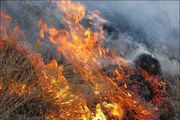 آتش‌سوزی اراضی جنگلی «آب انار» آبدانان بعد از ۴۸ ساعت مهار شد