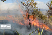 فرماندار: آتش سوزی منطقه " بلبزان" پاوه هنوز مهار نشده است