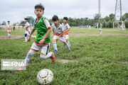 ۴۴ مدرسه فوتبال و فوتسال دارای مجوز در استان یزد فعال است