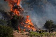 آتش‌سوزی در لس‌آنجلس آمریکا ۱۵۰ هزار جریب جنگل و زمین را سوزاند