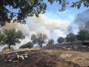 آمادگی چهار فروند بالگرد برای مهار آتش‌سوزی ارتفاعات کچل گیلانغرب