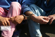 دستگیری ۱۶۶ سارق در کشور با اجرای طرح مقابله با سارقان احشام