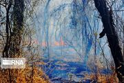 هشدار آتش‌سوزی در جنگل‌های مازندران