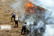 آتش‌سوزی ارتفاعات قلارنگ در ایلام گسترش یافته است