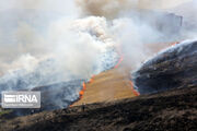 آتش بار دیگر در بخشی از جنگل‌های باشت شعله‌ور شد