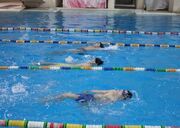 گزارش تصویری_ تعیین سطح نوآموزان شنا آکادمی ۹ دی