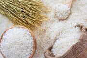 توزیع برنج هندی آغاز شد / یک کیلو برنج در بازار چقدر قیمت خورد؟