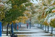 هواشناسی ایران / بارش برف و باران در ۲۲ استان کشور