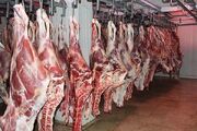 کمبود مراکز عرضه گوشت گرم وارداتی؛ علت صف‌های طولانی