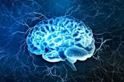 آیا مغز انسان توانایی تغییر دارد؟