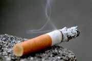سالانه ۶۰ هزار نفر در ایران قربانی دخانیات می‌شوند