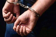 ربودن جوان تهرانی با ۸۶ میلیارد تومان سکه و دلار / ربایندگان دستگیر شدند