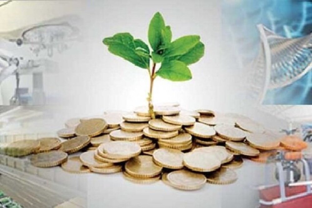 بازنگری بیشتری در آیین‌نامه هم‌سرمایه‌گذاری صورت بگیرد