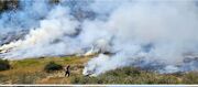 آتش سوزی در منطقه حفاظت شده پرور/ از بین رفتن ۲۰ درخت جنگل رودبارک