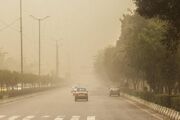پیرهادی: قانون هوای پاک به درستی اجرا نمی‌شود