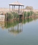 رهاسازی ۷۷ میلیون مترمکعب حقابه تالاب‌های اقماری پارک ملی دریاچه ارومیه