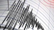 زلزله ۴.۶ ریشتری در کرمان خسارت جانی و مالی نداشت