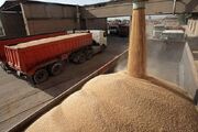 خرید بیش‌از یک‌میلیون و ۲۸۰ هزار تن گندم در خوزستان