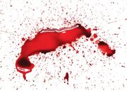 قتل داماد به علت اختلافات خانوادگی در ییلاقات رحیم‌آباد