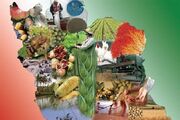 «مرکز هم آفرینی امنیت غذایی و زیستی پایدار» راه‌اندازی می شود