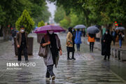 ۱۴ استان کشور پربارش شدند