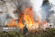 مهار آتش سوزی در پارک ملی کرخه - استان خوزستان