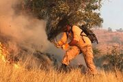 احداث ۲۰۰۰ کیلومتر آتش‌بر در مناطق بحرانی لرستان