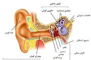 برگزاری دومین کنگره ملی «تازه های اختلالات شنوایی و تعادل» در رشت