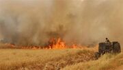 ضرورت ارایه راهکار برای مشکل سوزاندن کاه و کلش مزارع در خوزستان