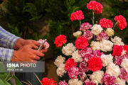 نمایشگاه گل محلات، دریچه‌ای به رشد صنعت گل