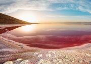 ‌اعلام ممنوعیت برداشت نمک از دریاچه مهارلو  شیراز