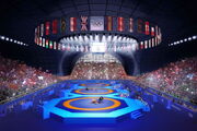 اسامی فرنگی‌کاران حاضر در المپیک پاریس اعلام شد