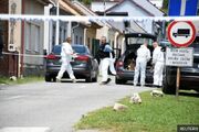 تیراندازی در یک خانه سالمندان در کرواسی قربانی گرفت