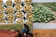صادرات محصولات کشاورزی در خراسان شمالی در بن‌بست زیرساخت‌ها