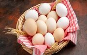 چگونه از سلامت تخم مرغ‌ها مطمئن شویم؟
