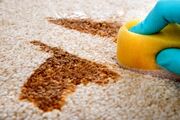 بهترین روش تمیز کردن قطعی لکه های فرش + 12 بخش آموزشی!
